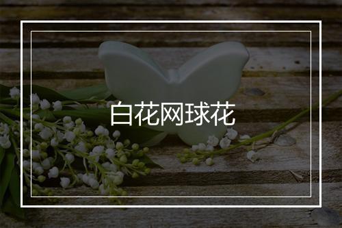 白花网球花