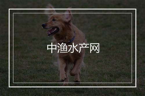 中渔水产网