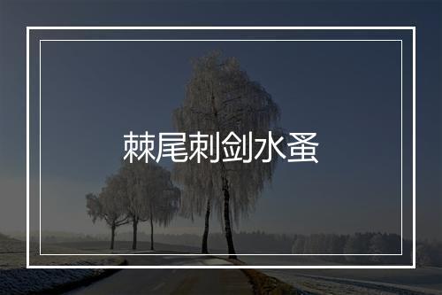 棘尾刺剑水蚤