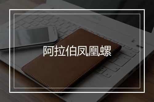 阿拉伯凤凰螺