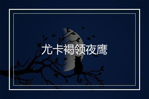 尤卡褐领夜鹰