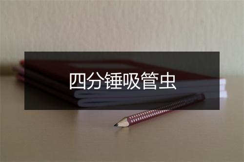 四分锤吸管虫