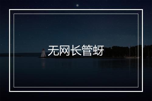 无网长管蚜