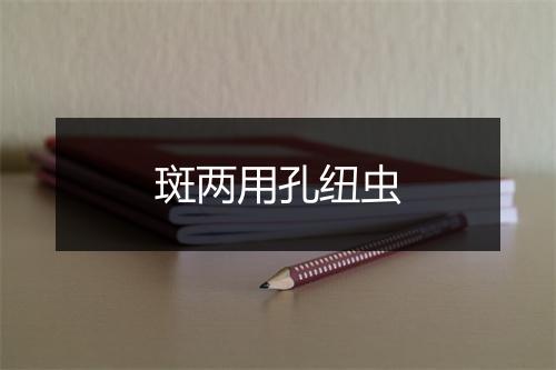 斑两用孔纽虫