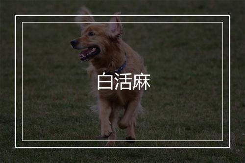 白活麻