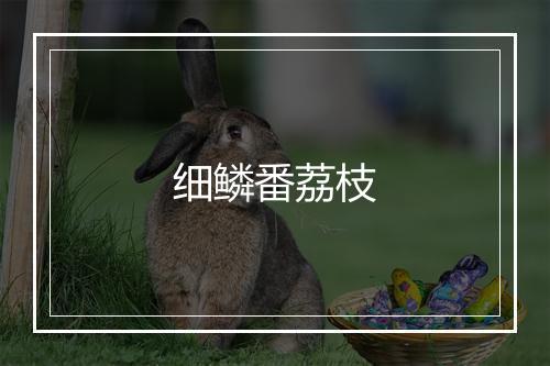 细鳞番荔枝