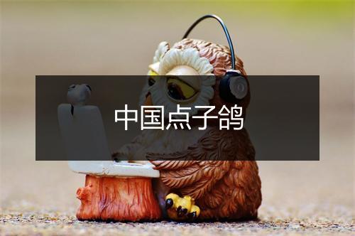 中国点子鸽