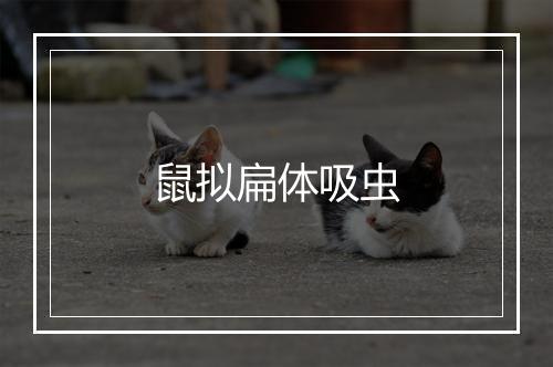 鼠拟扁体吸虫