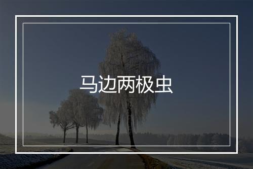 马边两极虫