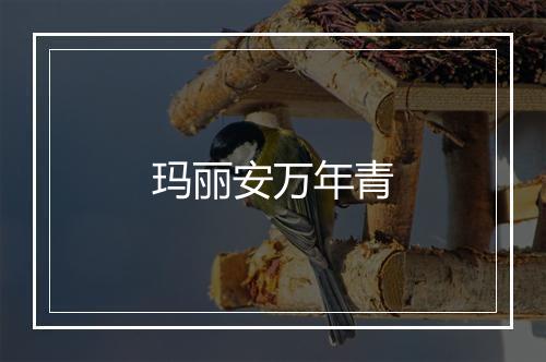 玛丽安万年青