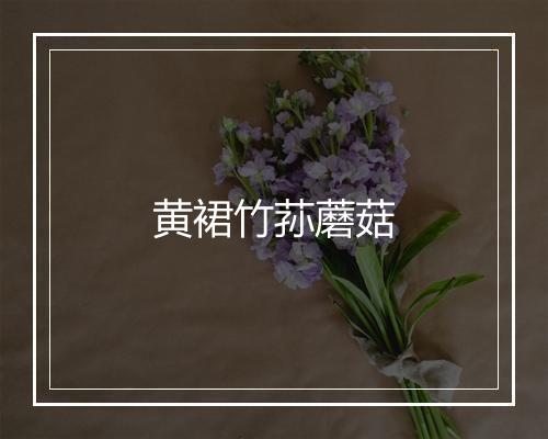 黄裙竹荪蘑菇