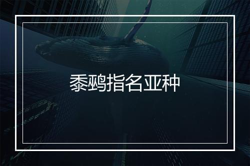 黍鹀指名亚种