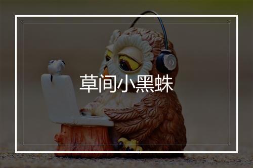 草间小黑蛛