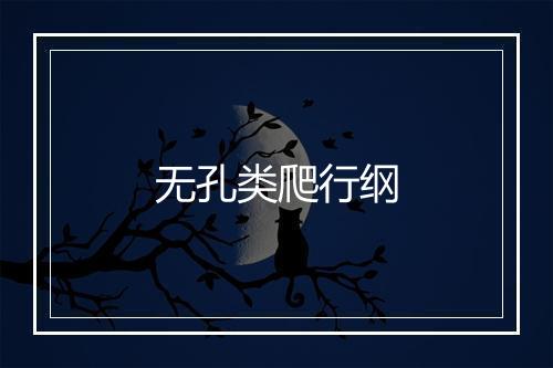 无孔类爬行纲