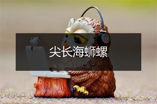 尖长海蛳螺