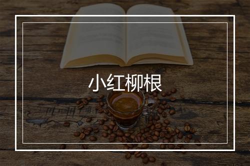 小红柳根