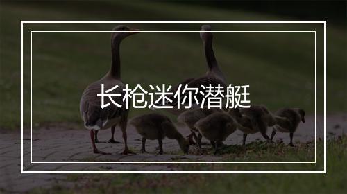 长枪迷你潜艇