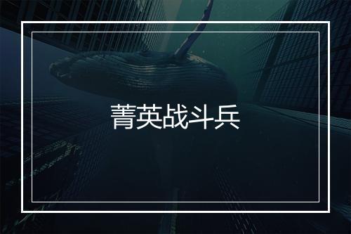 菁英战斗兵