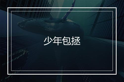 少年包拯