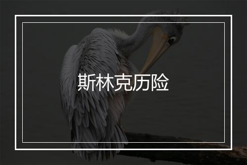 斯林克历险