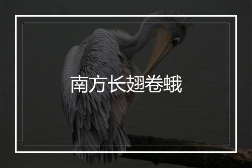 南方长翅卷蛾