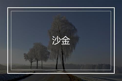 沙金