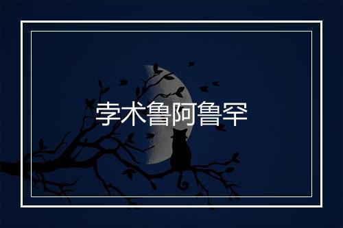 孛术鲁阿鲁罕