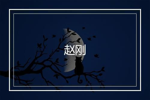 赵刚