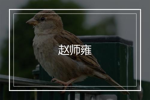 赵师雍