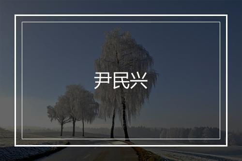 尹民兴