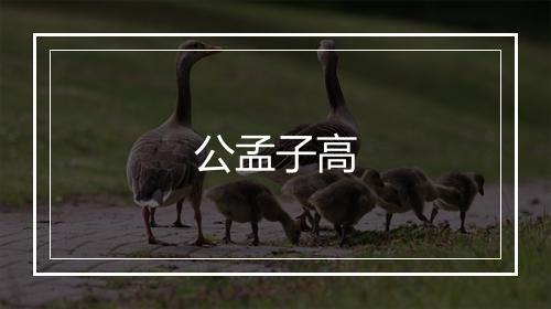 公孟子高