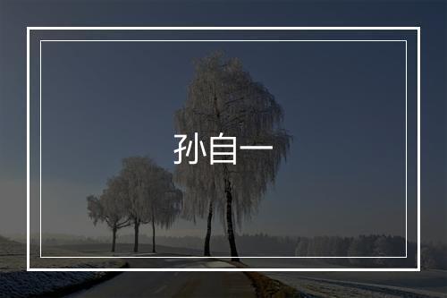 孙自一