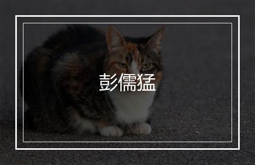 彭儒猛