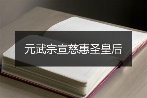 元武宗宣慈惠圣皇后