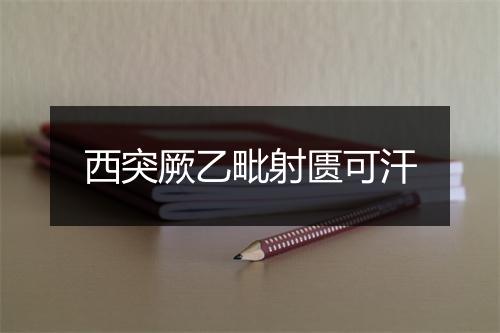 西突厥乙毗射匮可汗