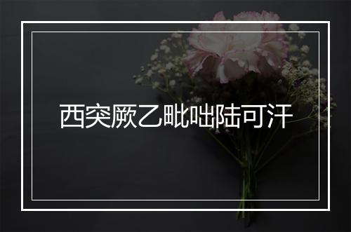 西突厥乙毗咄陆可汗