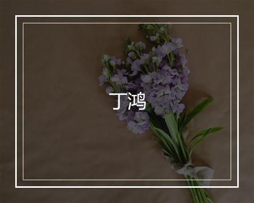 丁鸿