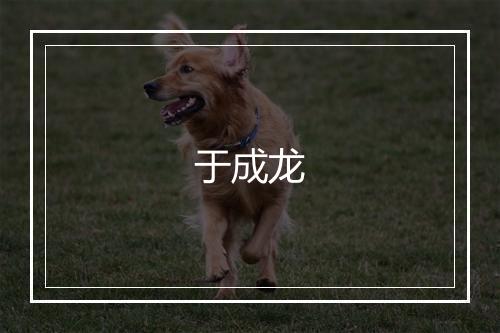 于成龙