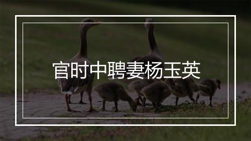 官时中聘妻杨玉英