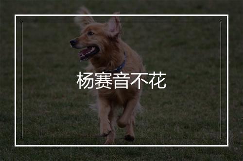 杨赛音不花