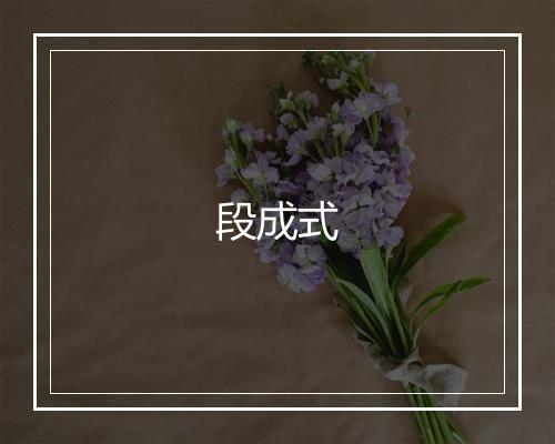 段成式