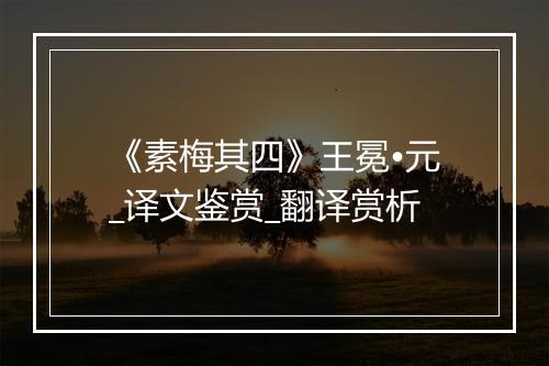 《素梅其四》王冕•元_译文鉴赏_翻译赏析