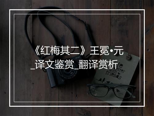 《红梅其二》王冕•元_译文鉴赏_翻译赏析