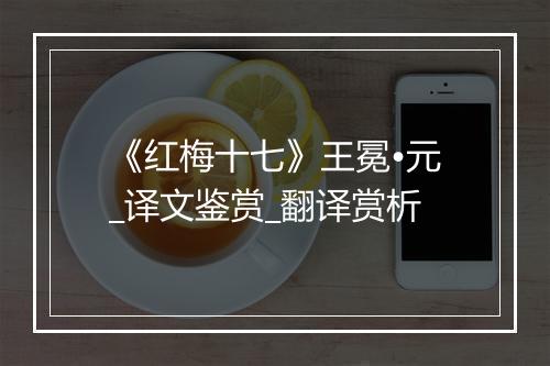 《红梅十七》王冕•元_译文鉴赏_翻译赏析