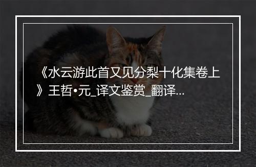 《水云游此首又见分梨十化集卷上》王哲•元_译文鉴赏_翻译赏析