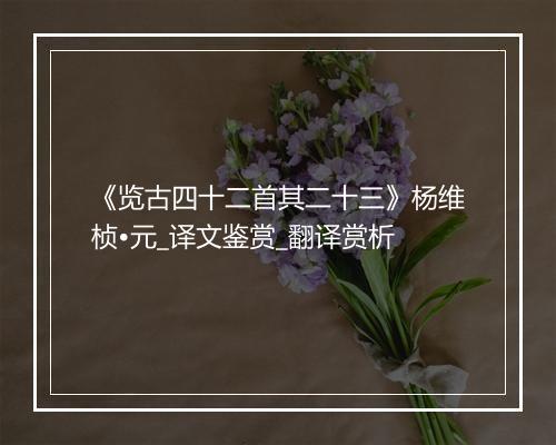 《览古四十二首其二十三》杨维桢•元_译文鉴赏_翻译赏析