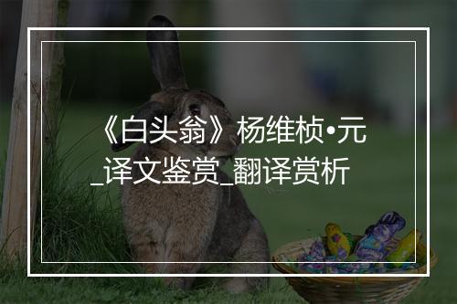 《白头翁》杨维桢•元_译文鉴赏_翻译赏析