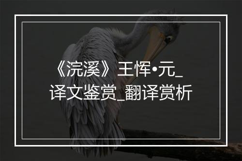 《浣溪》王恽•元_译文鉴赏_翻译赏析