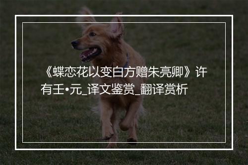 《蝶恋花以变白方赠朱亮卿》许有壬•元_译文鉴赏_翻译赏析