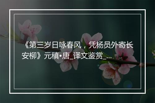 《第三岁日咏春风，凭杨员外寄长安柳》元稹•唐_译文鉴赏_翻译赏析